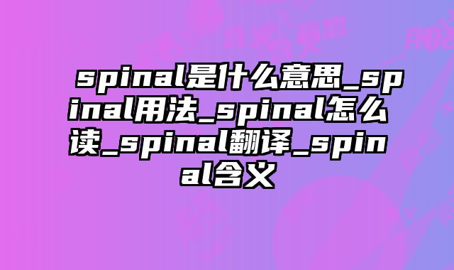 spinal是什么意思_spinal用法_spinal怎么读_spinal翻译_spinal含义