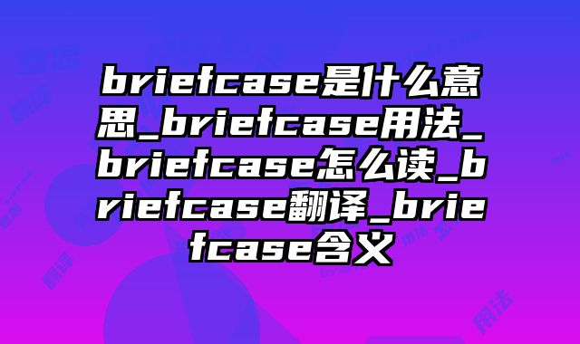 briefcase是什么意思_briefcase用法_briefcase怎么读_briefcase翻译_briefcase含义