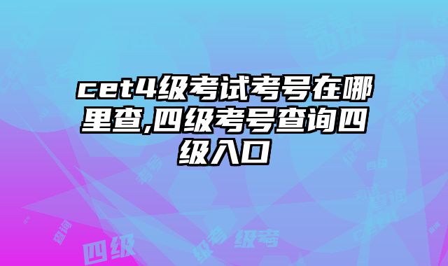 cet4级考试考号在哪里查,四级考号查询四级入口