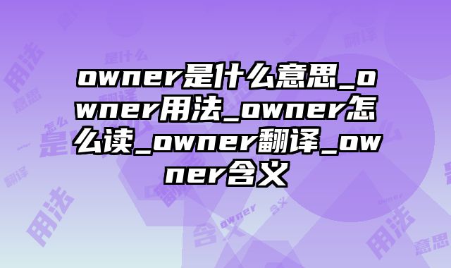 owner是什么意思_owner用法_owner怎么读_owner翻译_owner含义