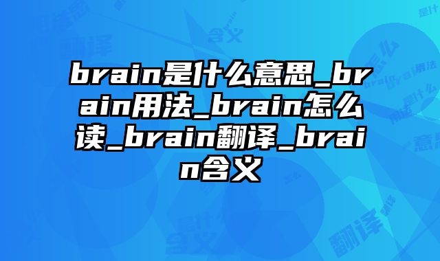 brain是什么意思_brain用法_brain怎么读_brain翻译_brain含义