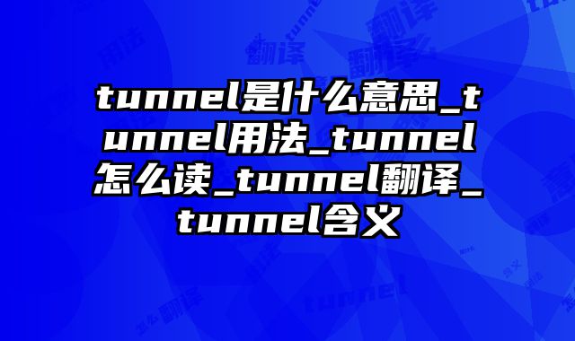 tunnel是什么意思_tunnel用法_tunnel怎么读_tunnel翻译_tunnel含义