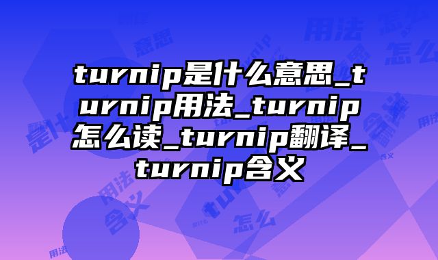 turnip是什么意思_turnip用法_turnip怎么读_turnip翻译_turnip含义