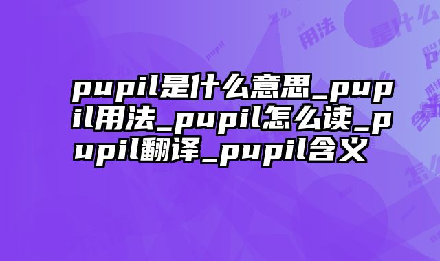 pupil是什么意思_pupil用法_pupil怎么读_pupil翻译_pupil含义