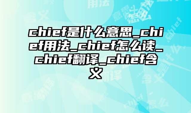 chief是什么意思_chief用法_chief怎么读_chief翻译_chief含义