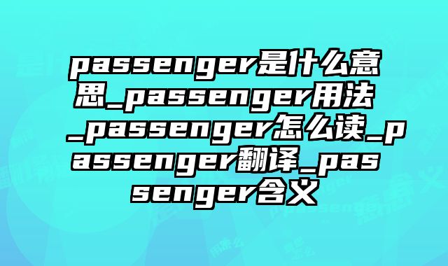 passenger是什么意思_passenger用法_passenger怎么读_passenger翻译_passenger含义