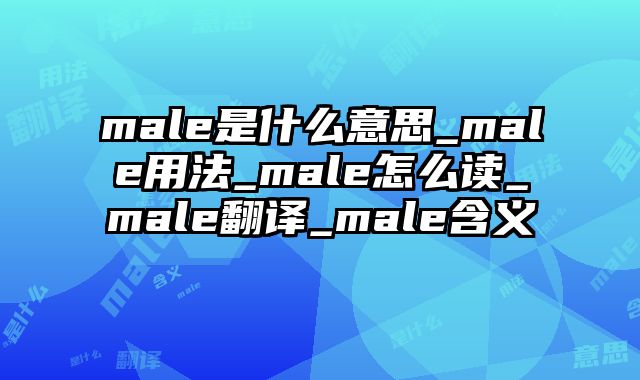 male是什么意思_male用法_male怎么读_male翻译_male含义