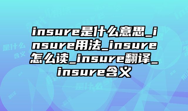 insure是什么意思_insure用法_insure怎么读_insure翻译_insure含义