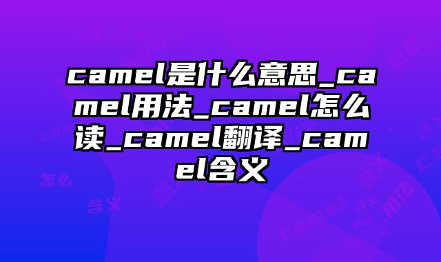 camel是什么意思_camel用法_camel怎么读_camel翻译_camel含义